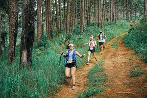 BIB: 
                            <button type="button" onclick="openModal(25674604)" class="btn btn-primary btn-sm float-right btn-popup" data-toggle="modal" data-target=".modal-high-quality">
                        <i class="fas fa-shopping-cart"></i> Add to Cart
                    </button>
                                            <button type="button" onclick="isThisMe(25674604, true)" class="btn btn-success btn-sm float-right btn-popup btn-isme hidden" data-toggle="tooltip" data-placement="bottom" title="นี่คือรูปของคุณใช่ไหม คลิกที่นี่เพื่อเอาเข้าอัลบั้ม">
                        <i class="fas fa-plus"></i> Add to album
                    </button>
                    <button type="button" onclick="isThisMe(25674604, false)" class="btn btn-warning btn-sm float-right btn-popup btn-isnotme hidden">
                        <i class="fas fa-ban"></i> Remove from album
                    </button>